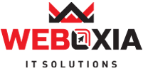 Weboxia IT Solutions - Best Digital Marketing Company in Kerala