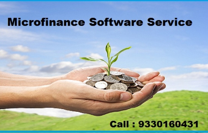 Microfinance software service in India